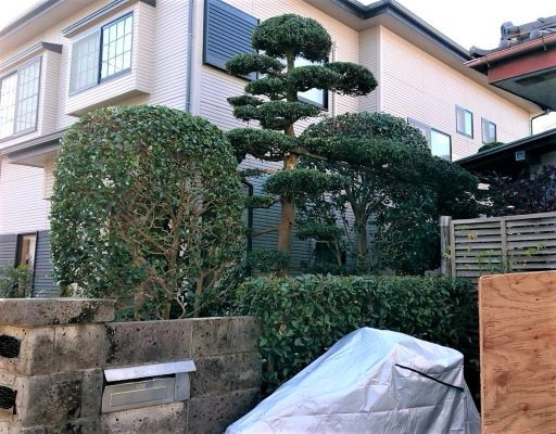 【庭木の剪定　神奈川県相模原市】たまにはプロの技で、さっぱりと！