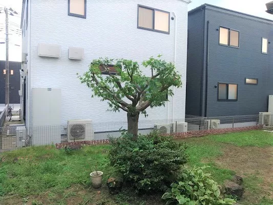 【モミジ剪定　仙台市若林区】樹形が小さくなるように
