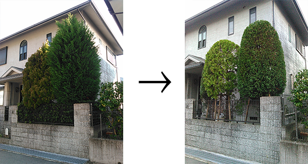 Oh庭yaのおしごとファイル Vol 2 刈込 かりこみ って何 Oh庭yaではたらく